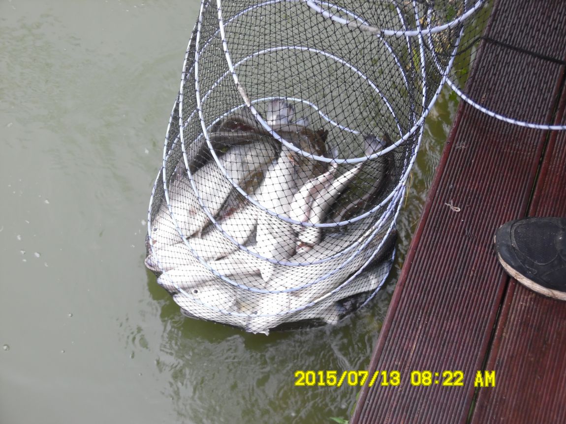 7��12��~13���� 028.JPG