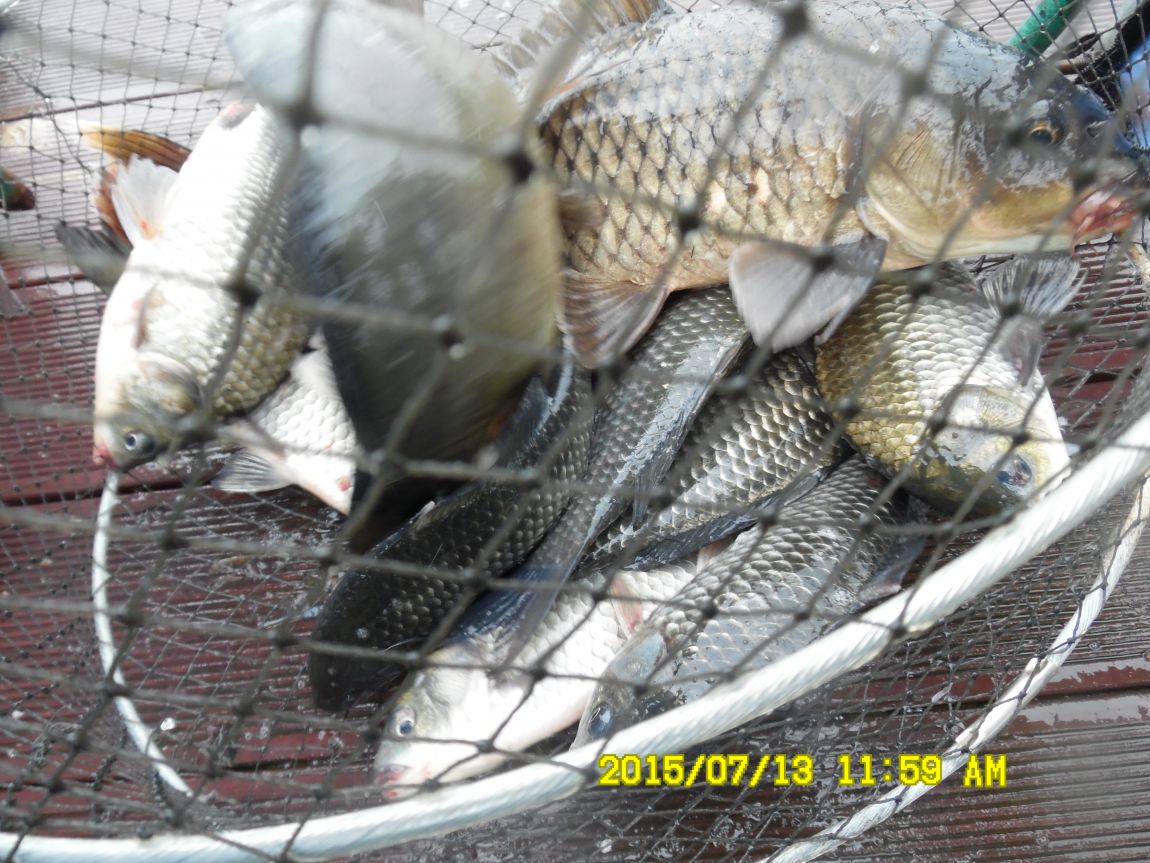 7��12��~13���� 033.JPG