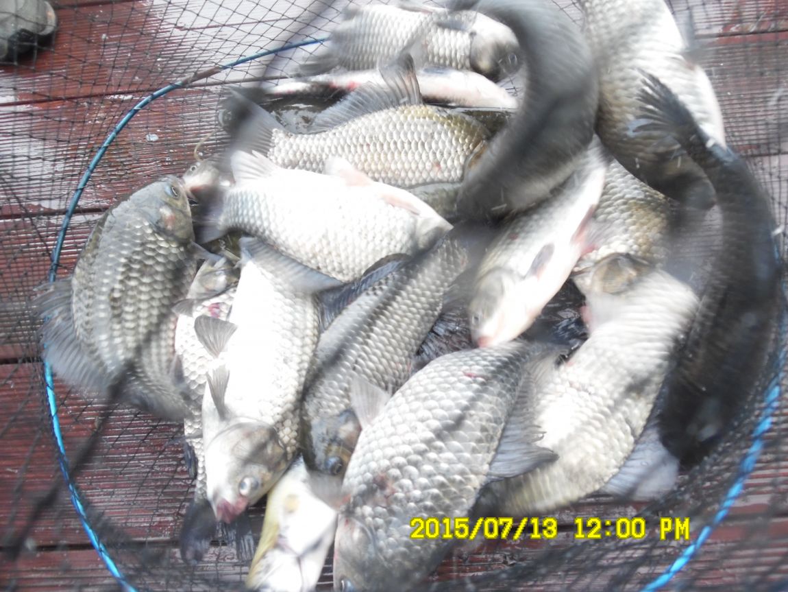 7��12��~13���� 034.JPG