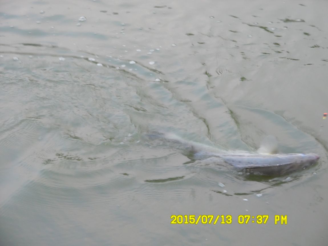 7��12��~13���� 036.JPG