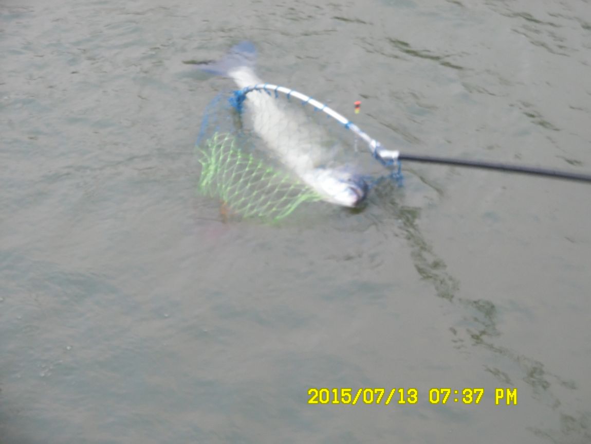 7��12��~13���� 037.JPG