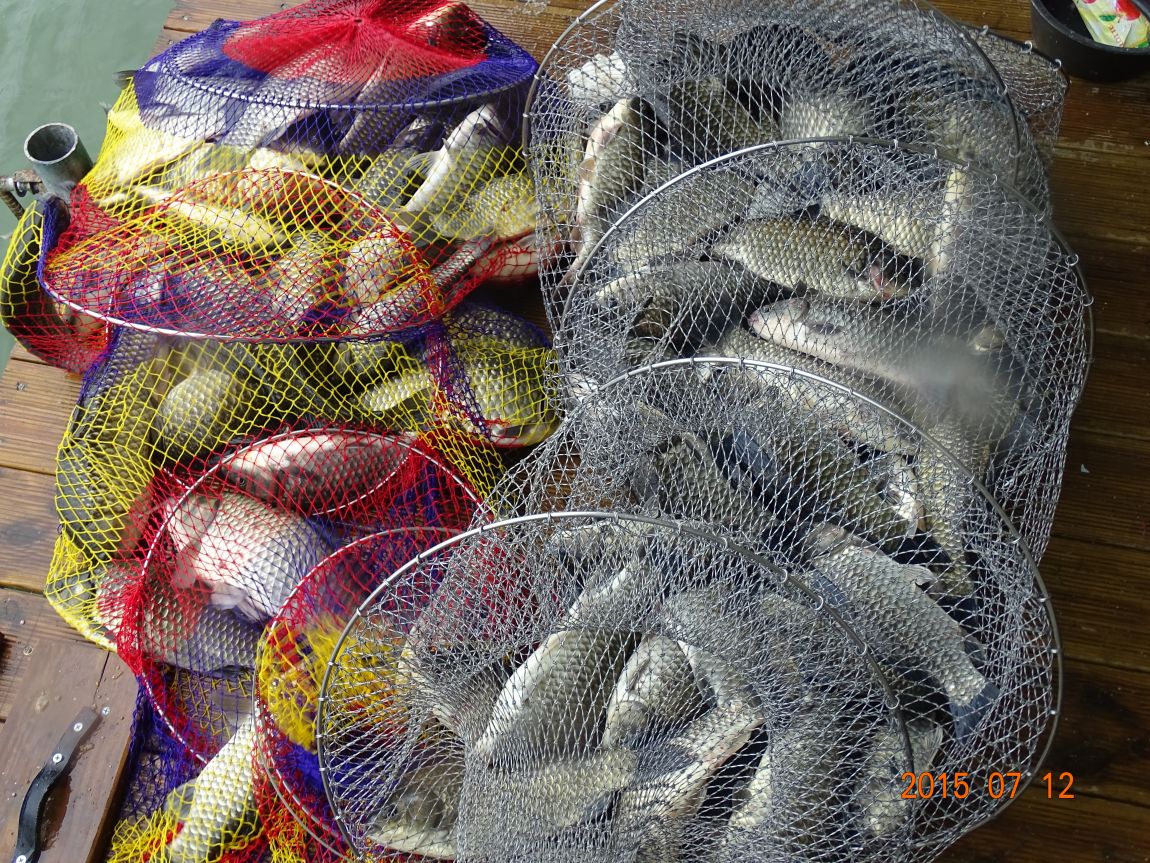 DSC00317 - ���纻.JPG