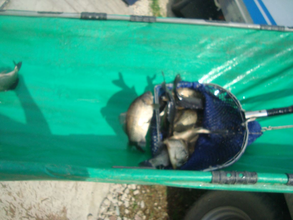 2015-7-13 005.JPG