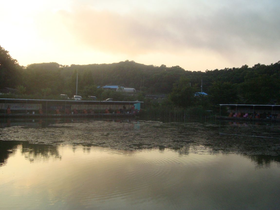 2015-7-13 021.JPG