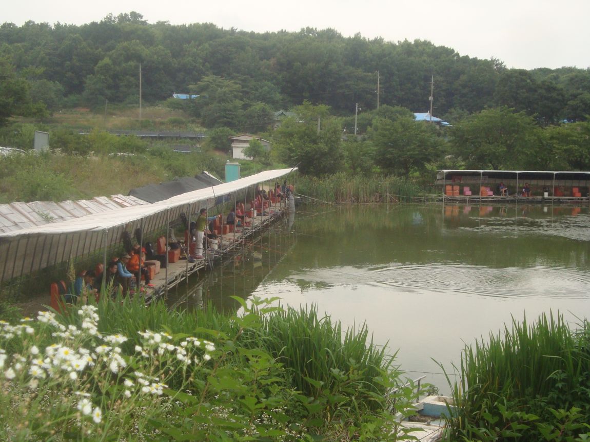 2015-7-13 045.JPG