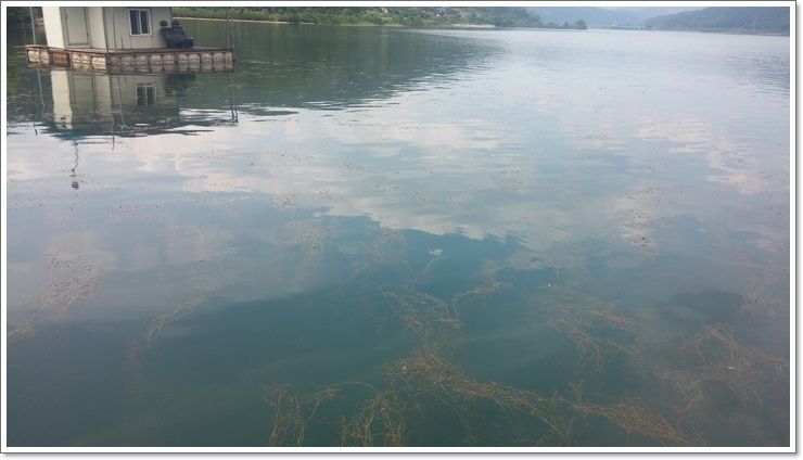 20150617_151009.jpg