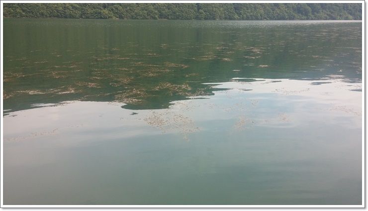 20150617_151002.jpg