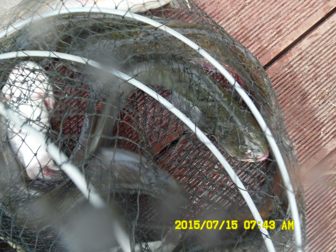 ����7��14~16 006.JPG