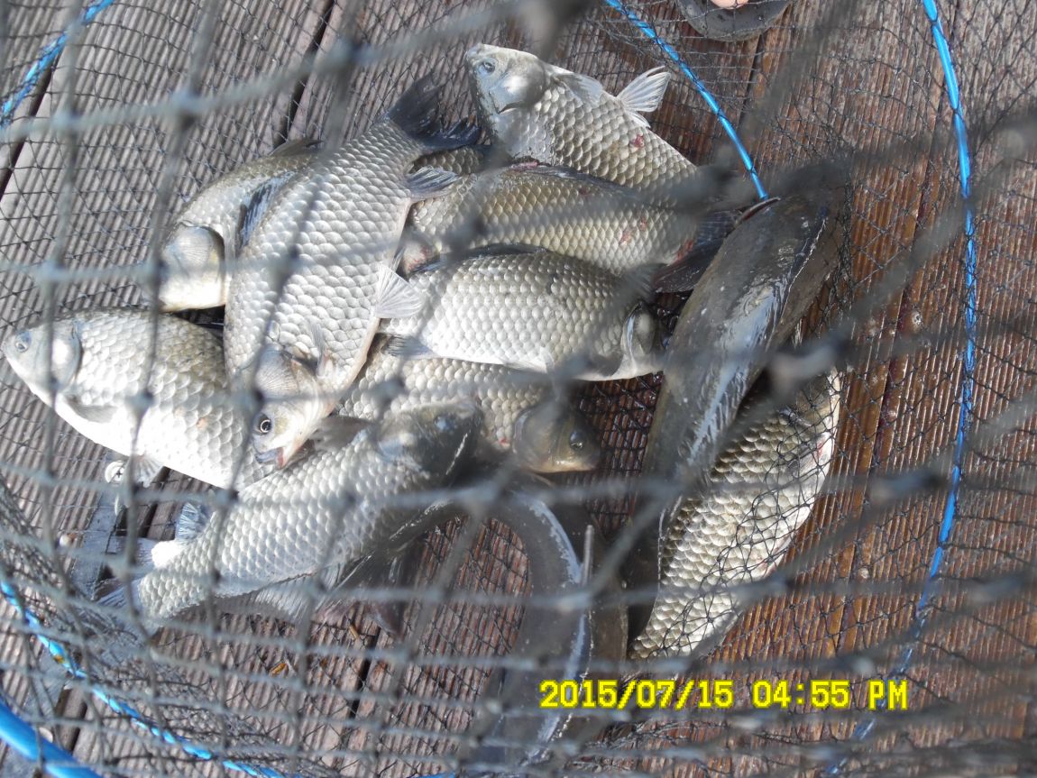 ����7��14~16 031.JPG