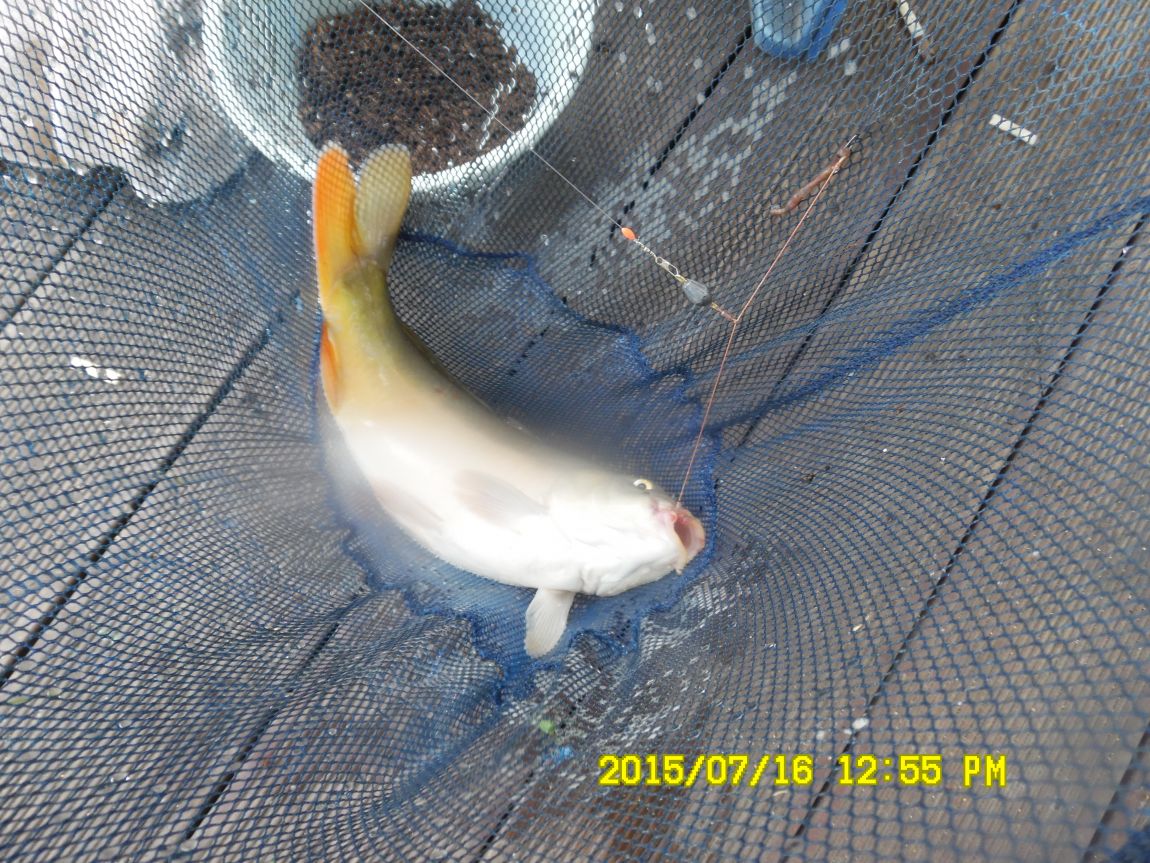 ����7��14~16 039.JPG