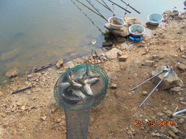 DSC02584.JPG