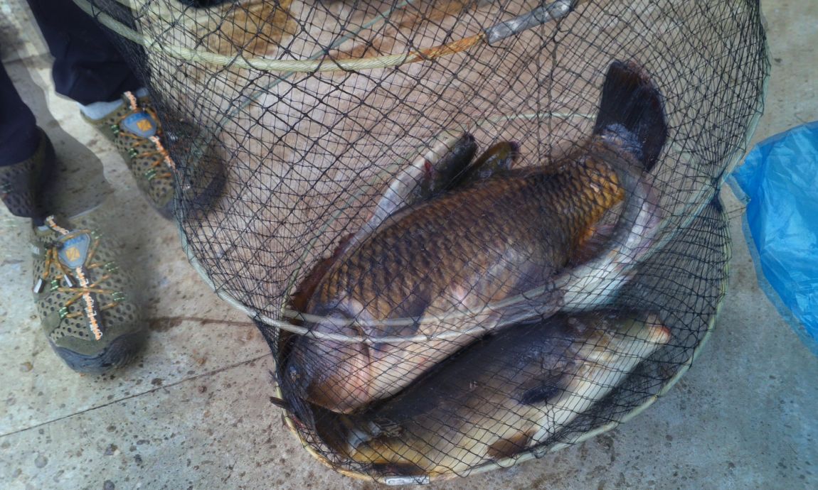 IMG_20150716_081243 - ���纻.jpg