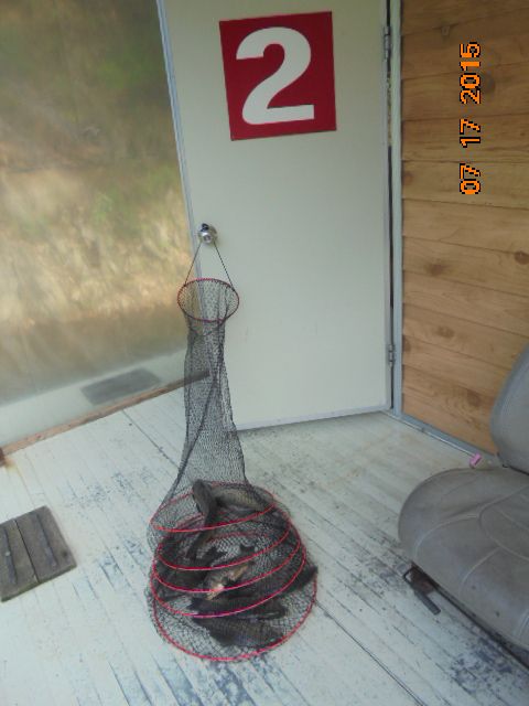 DSC02606.JPG