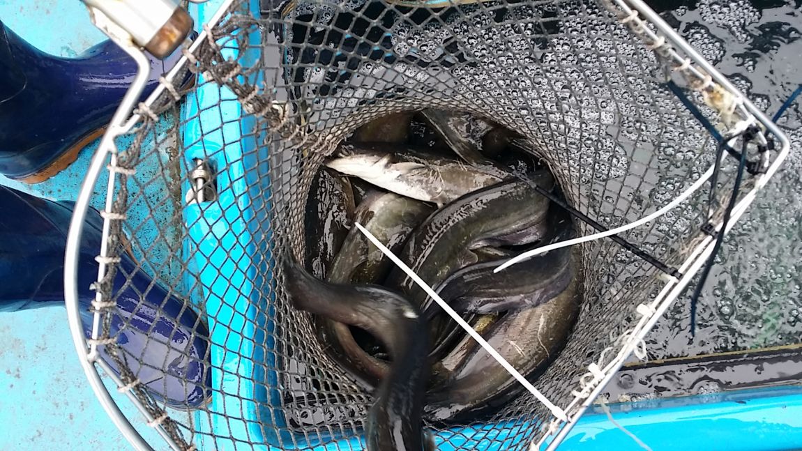 20150718_125553.jpg