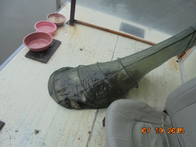 DSC02652.JPG