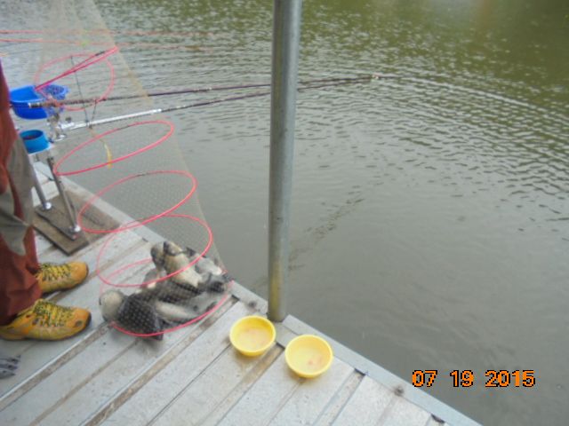 DSC02663.JPG