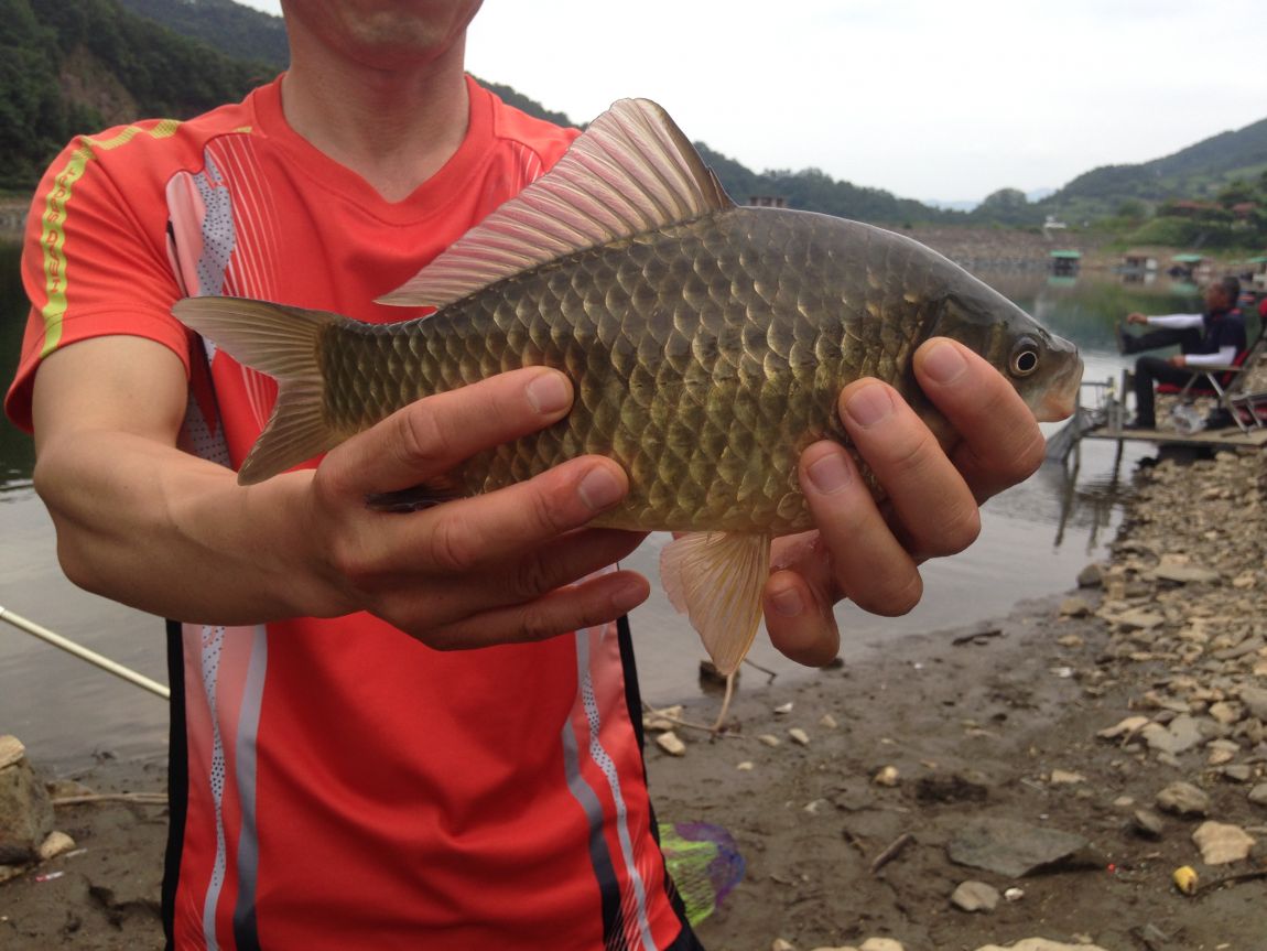 ���� 010.jpg