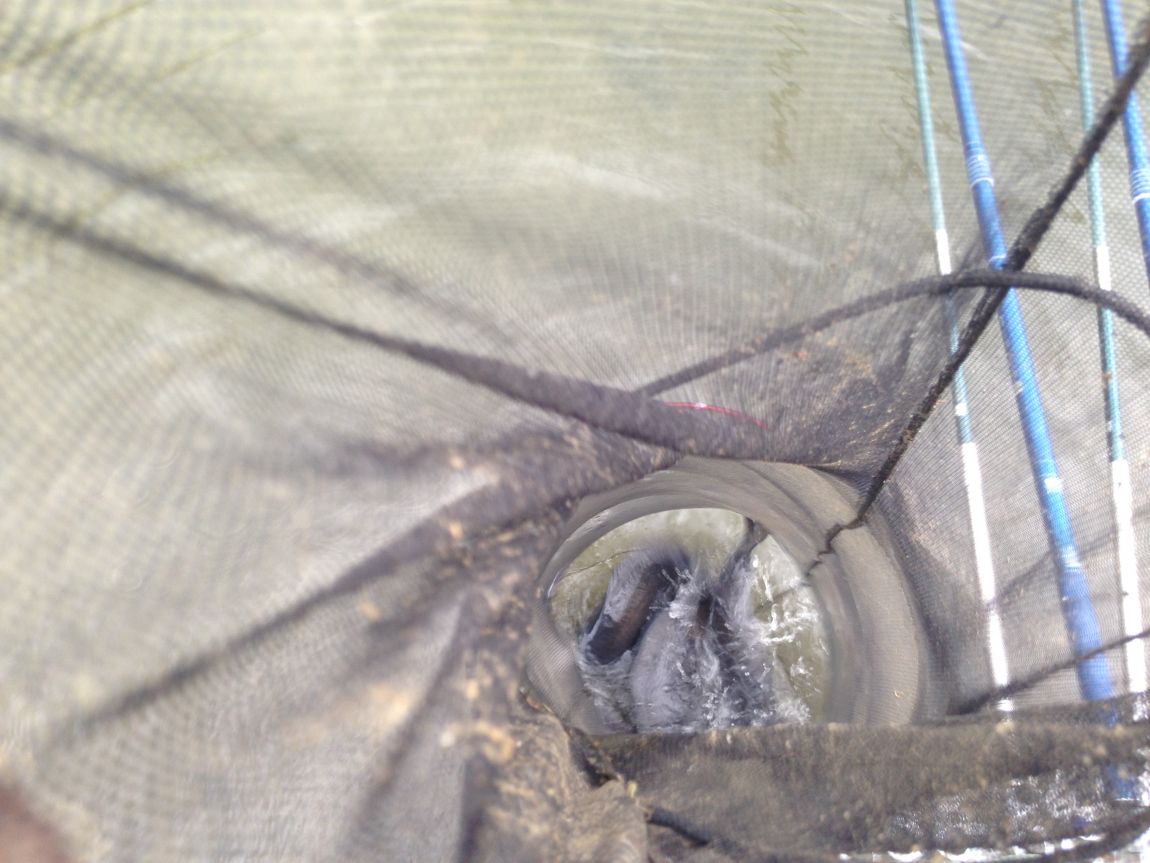 ���� 012.jpg