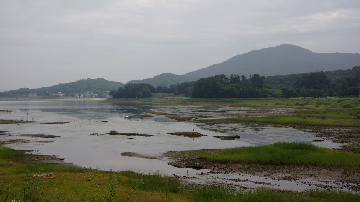 DSC00329-d.jpg