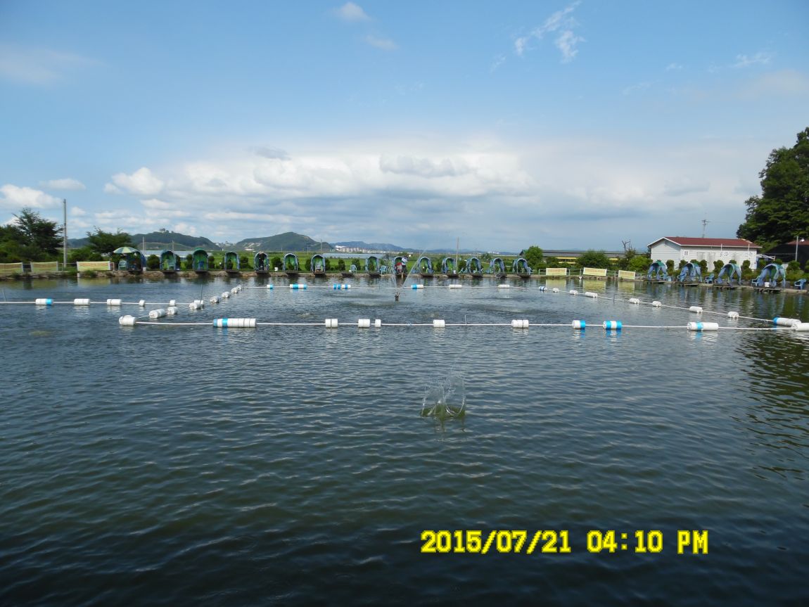 720~21 011.JPG