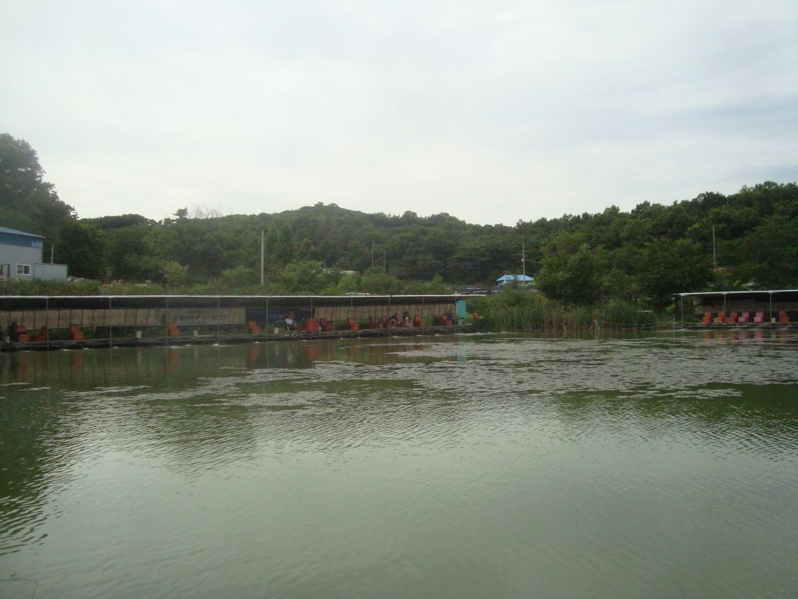 2015-7-21 008.JPG