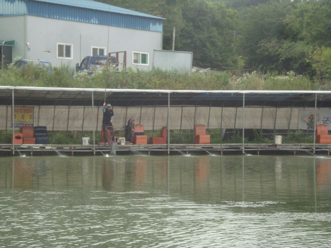 2015-7-21 013.JPG