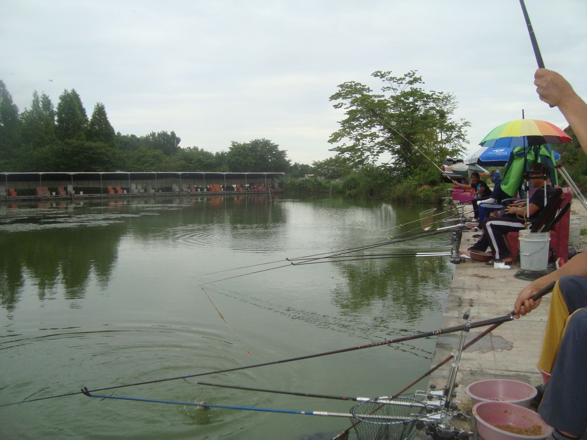 2015-7-21 017.JPG
