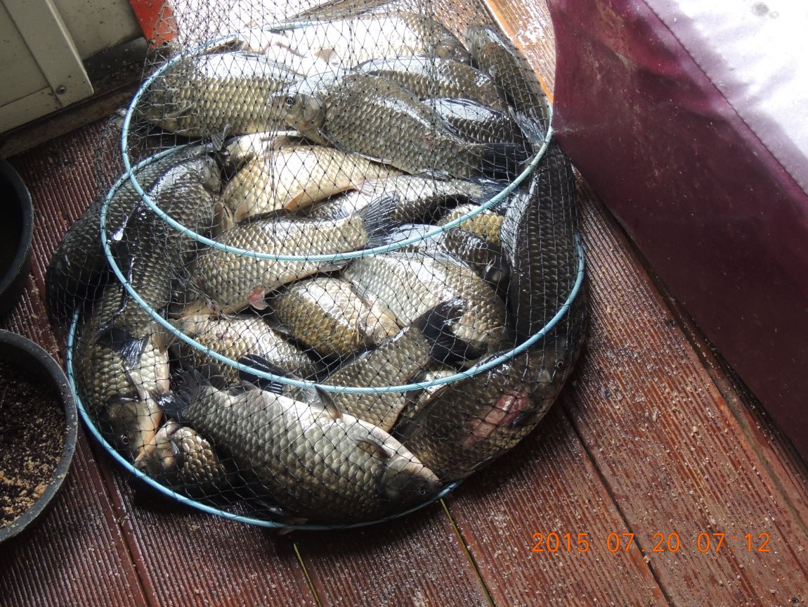 DSCN9194.JPG