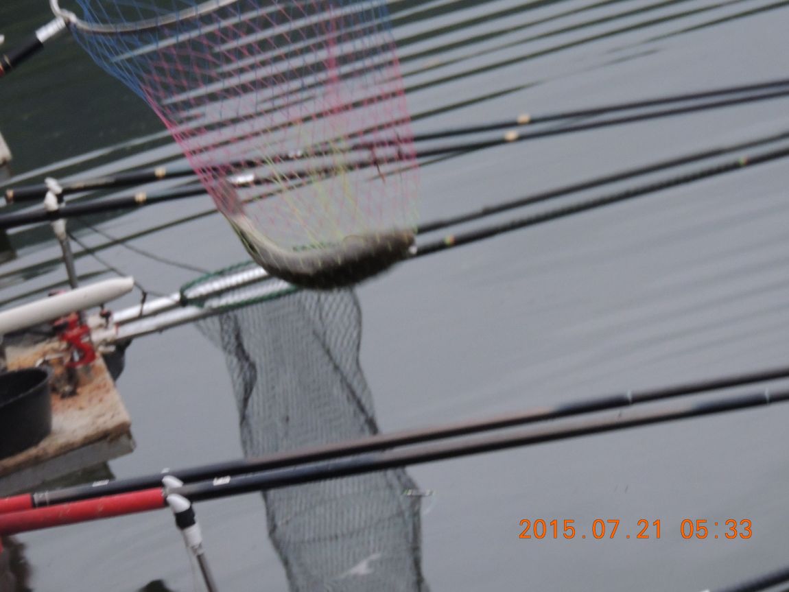 DSCN9212.JPG