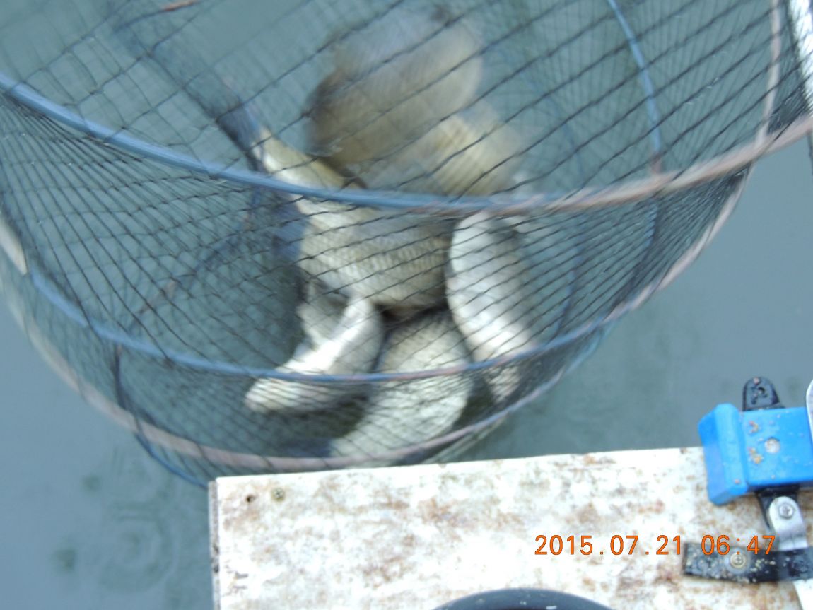 DSCN9221.JPG