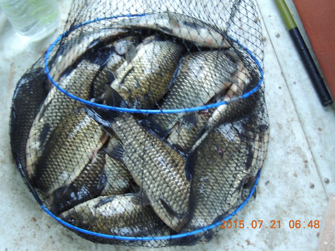 DSCN9222.JPG