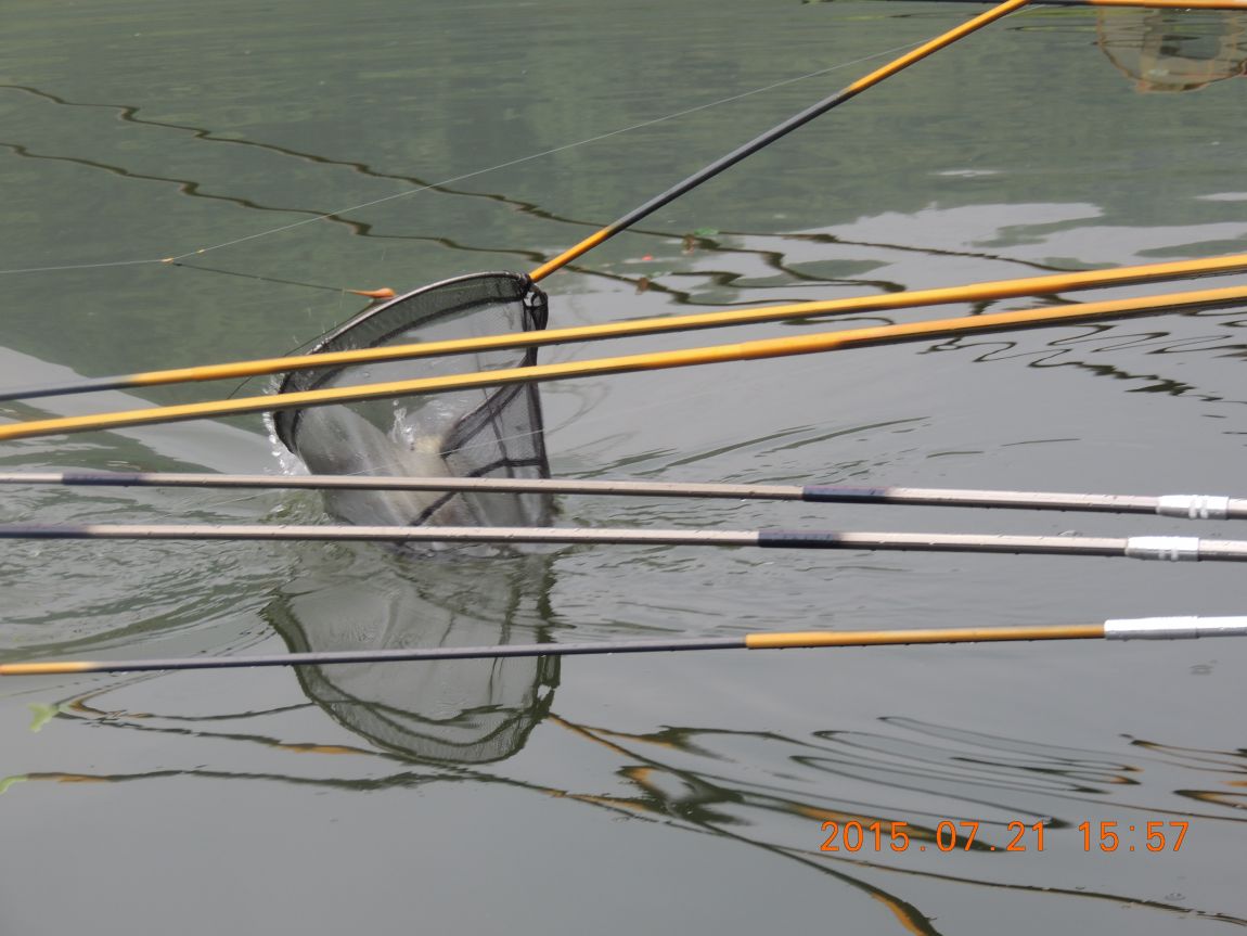 DSCN9226.JPG