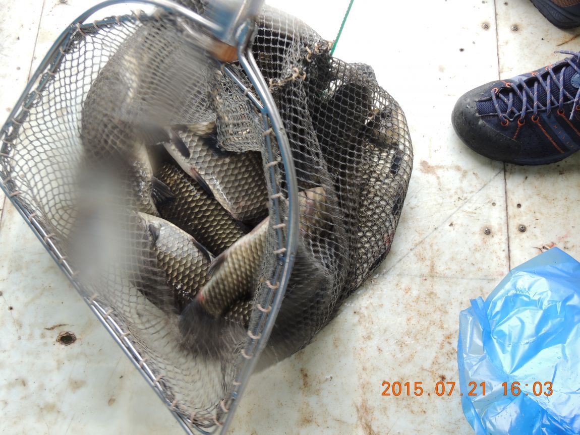 DSCN9228.JPG