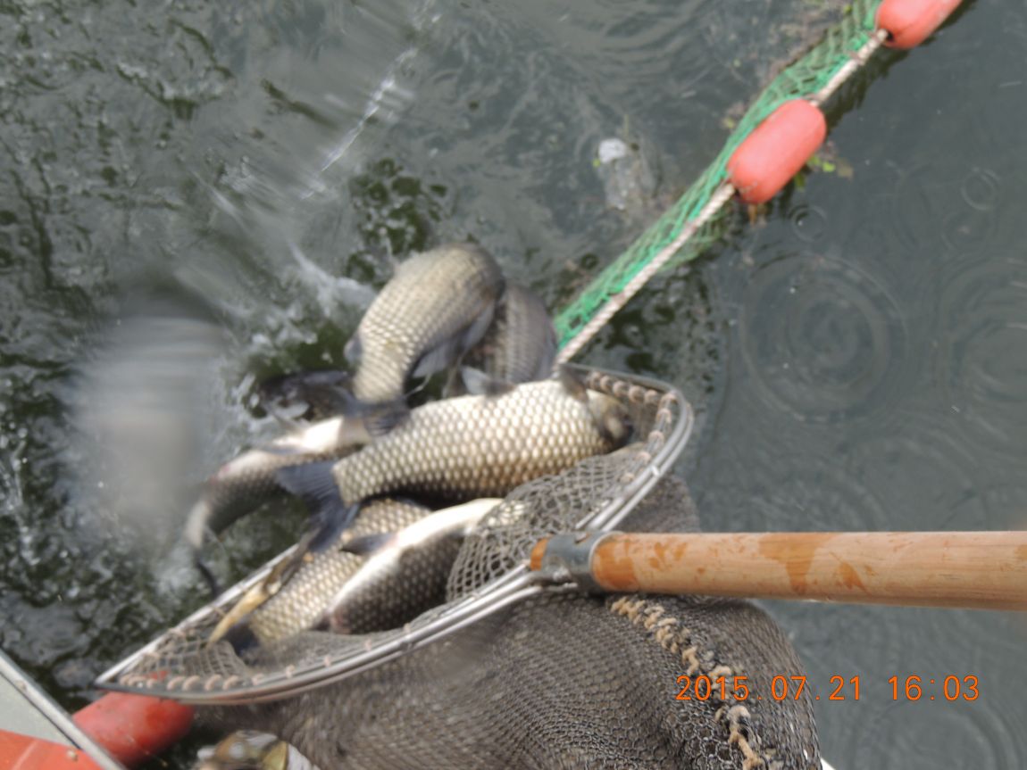 DSCN9229.JPG