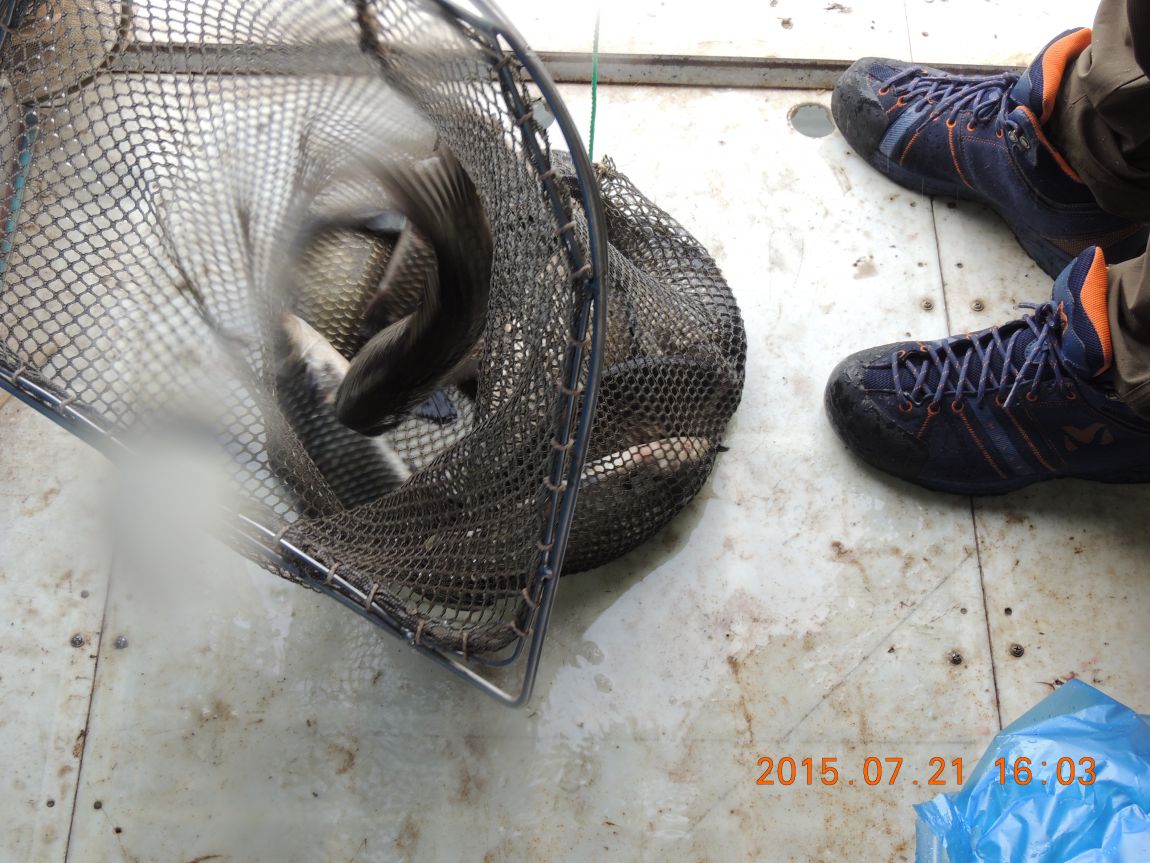 DSCN9230.JPG
