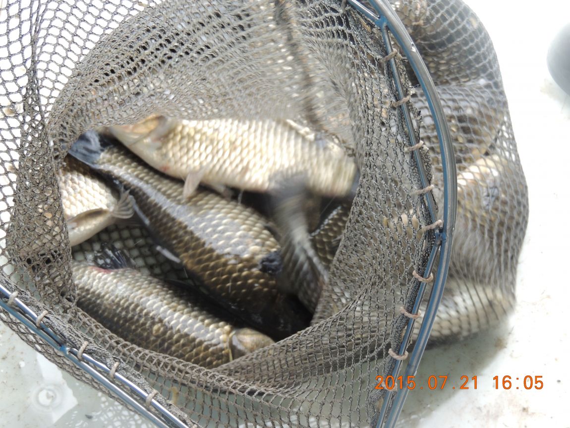 DSCN9238.JPG