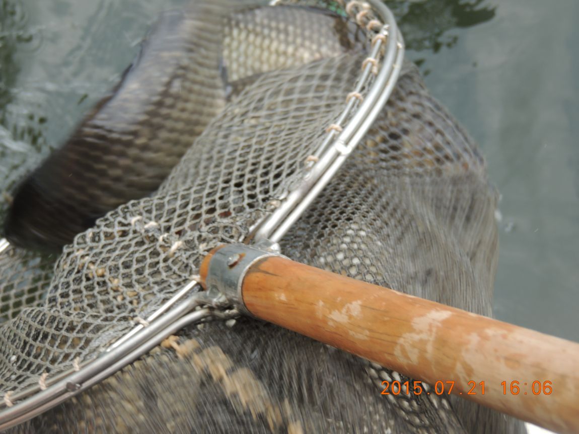 DSCN9241.JPG