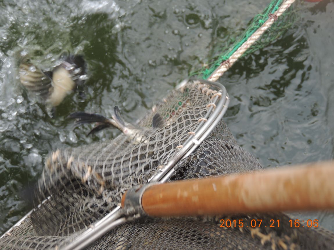 DSCN9243.JPG