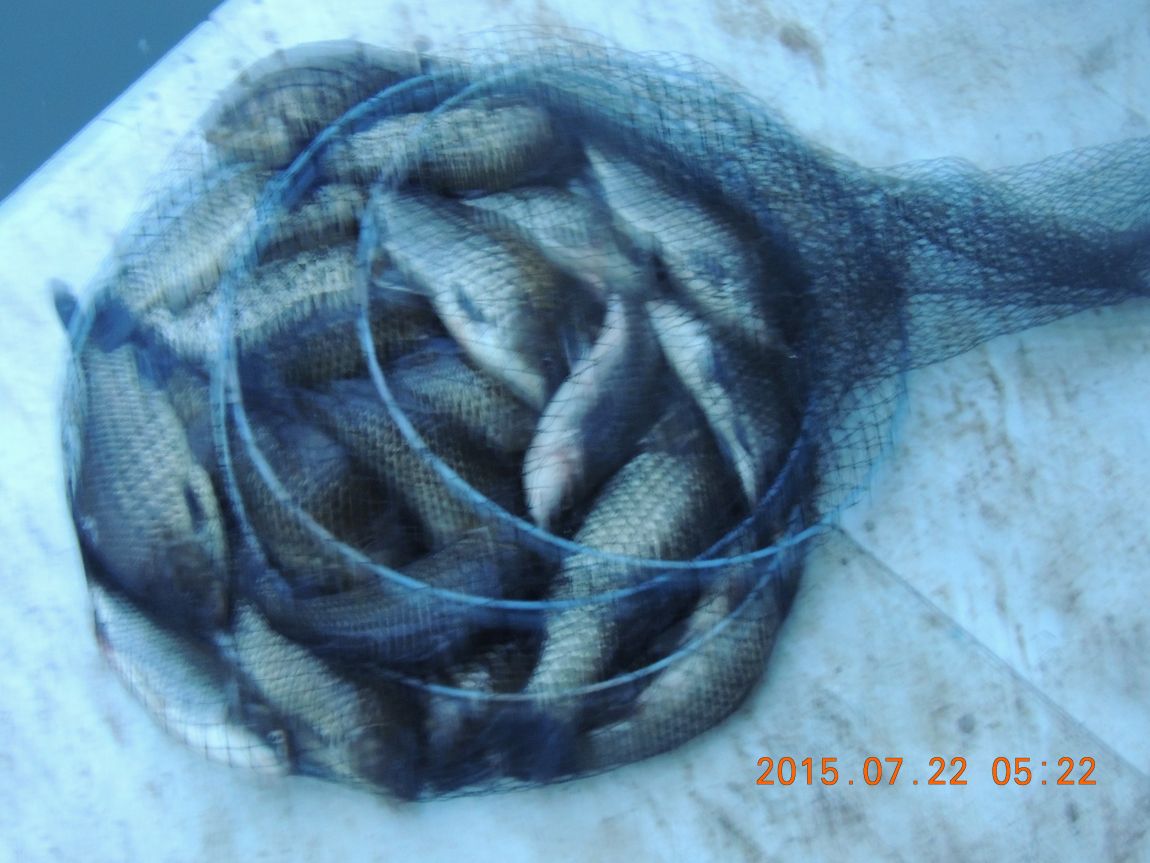 DSCN9250.JPG