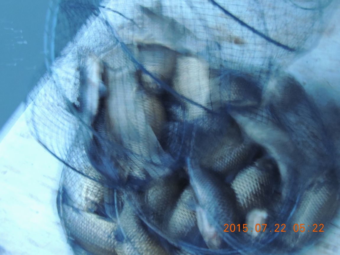DSCN9251.JPG