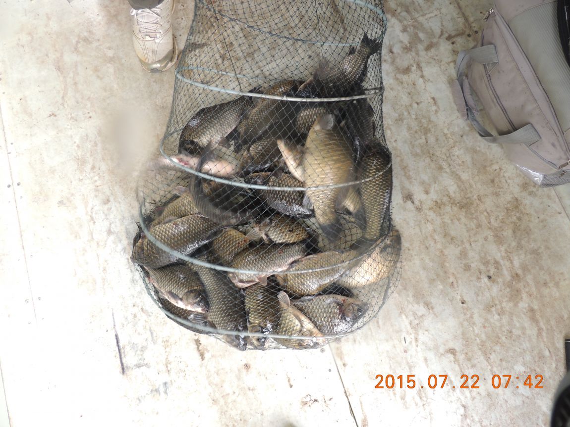DSCN9269.JPG