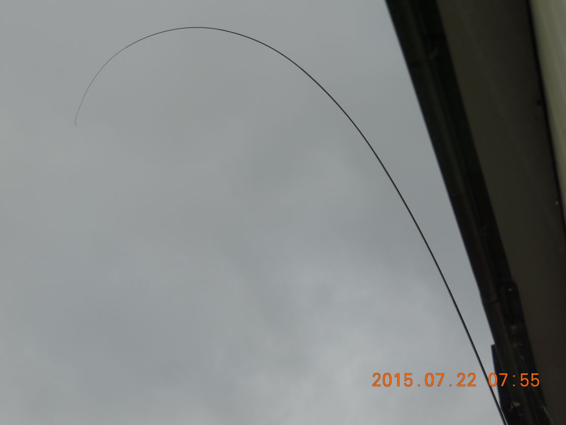 DSCN9274.JPG