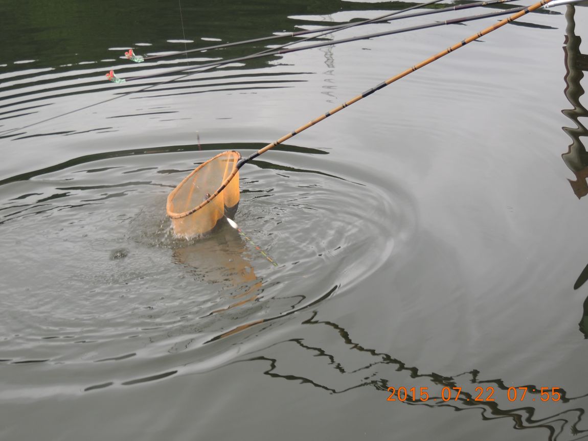 DSCN9275.JPG