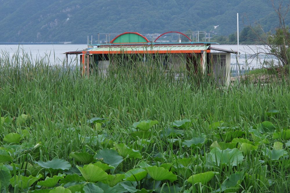 15��7��21�� 013.jpg