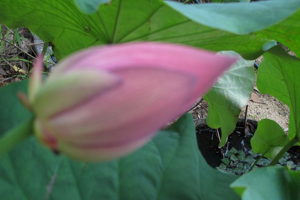 15��7��21�� 020.jpg