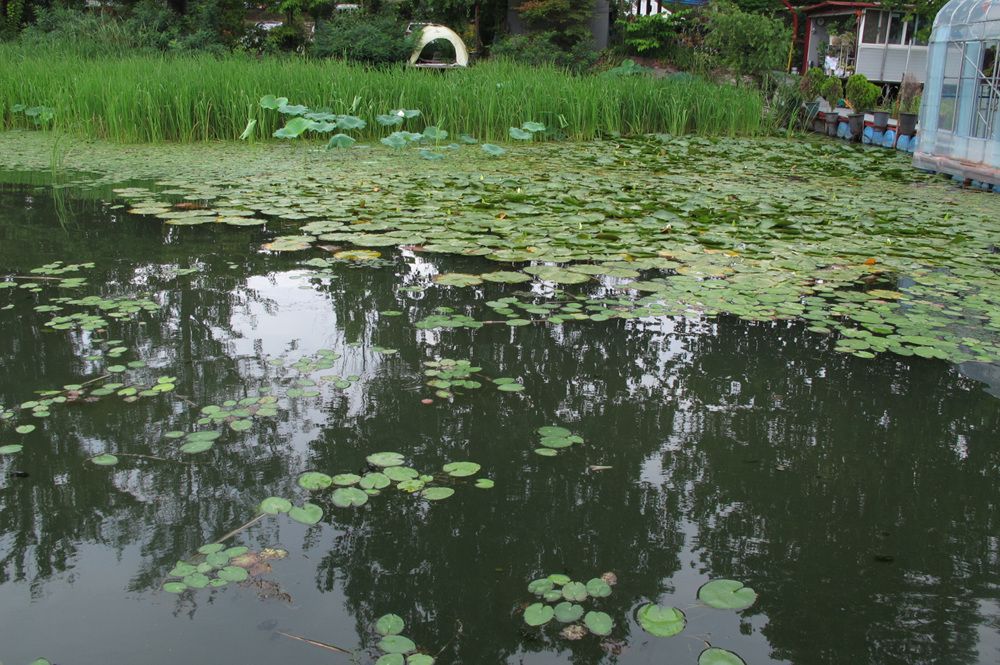 15��7��21�� 028.jpg