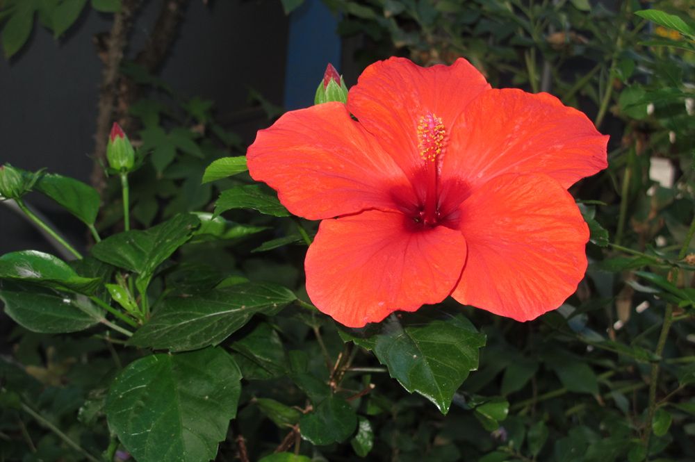 15��7��21�� 017.jpg