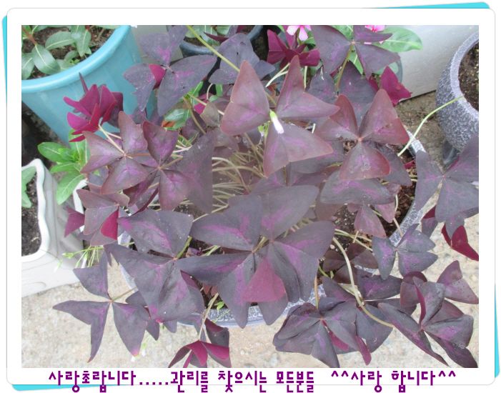 ٹ̱_IMG_3050.JPG
