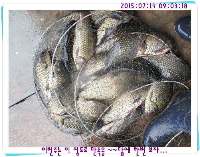 ٹ̱_IMG_3059.JPG