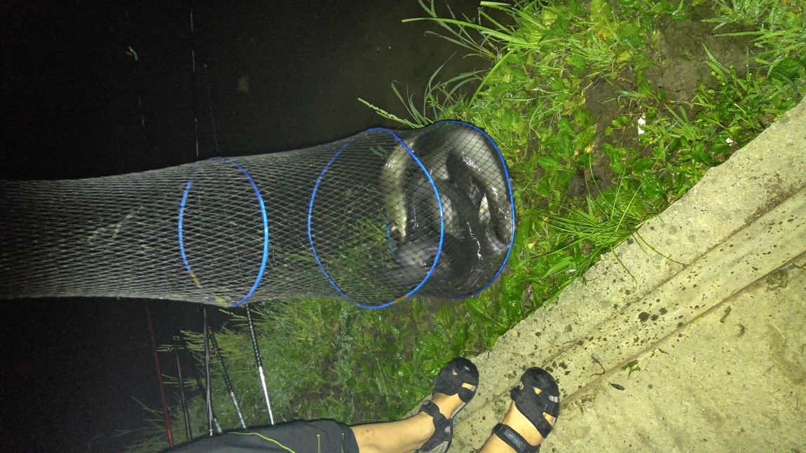 20150718_214025.jpg
